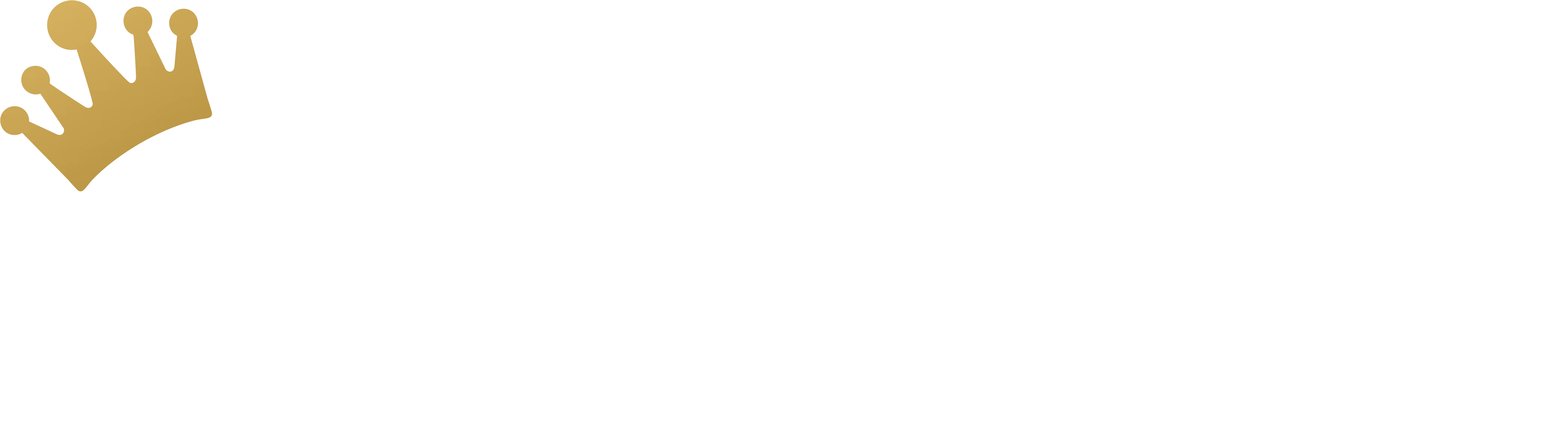 logo RAJAPLAY